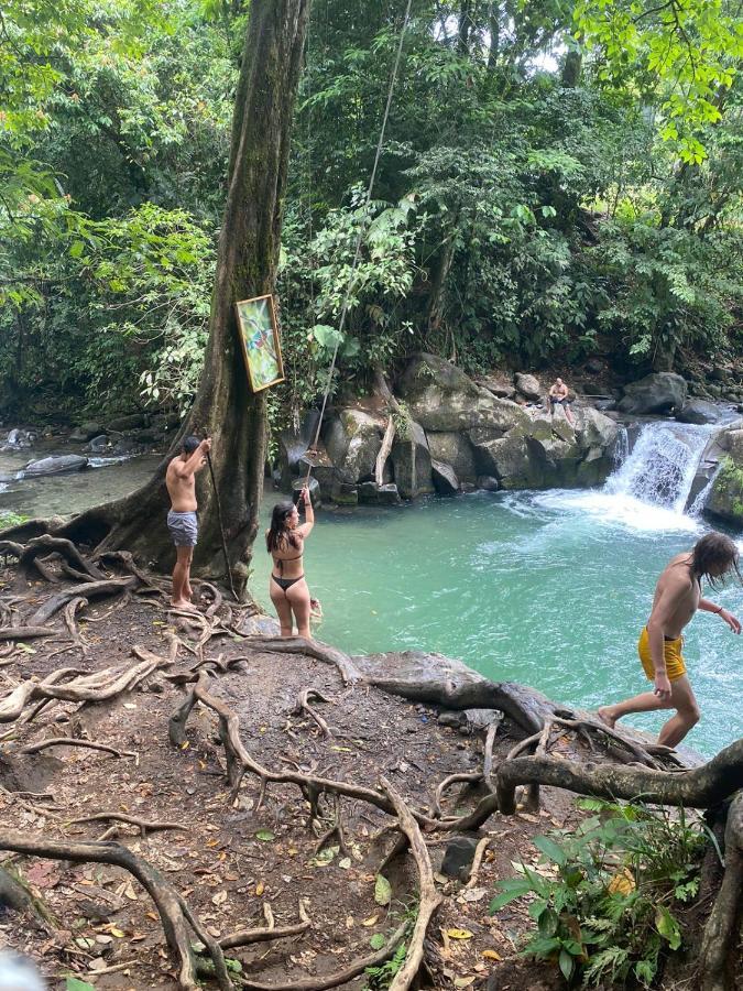 Coati Del Arenal Posada La Fortuna Eksteriør billede
