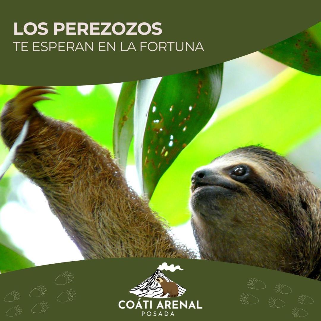 Coati Del Arenal Posada La Fortuna Eksteriør billede